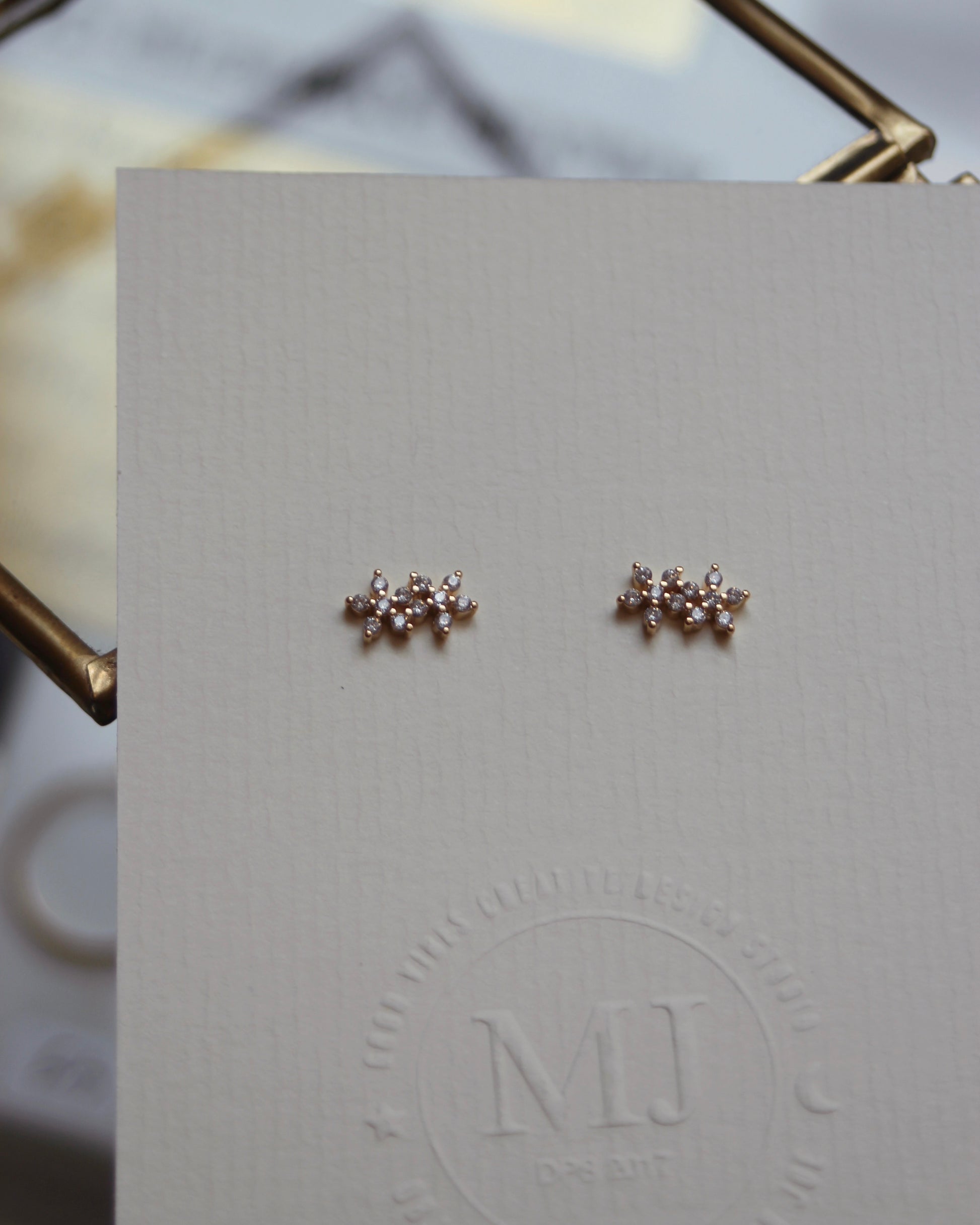 Petites puces deux fleurs