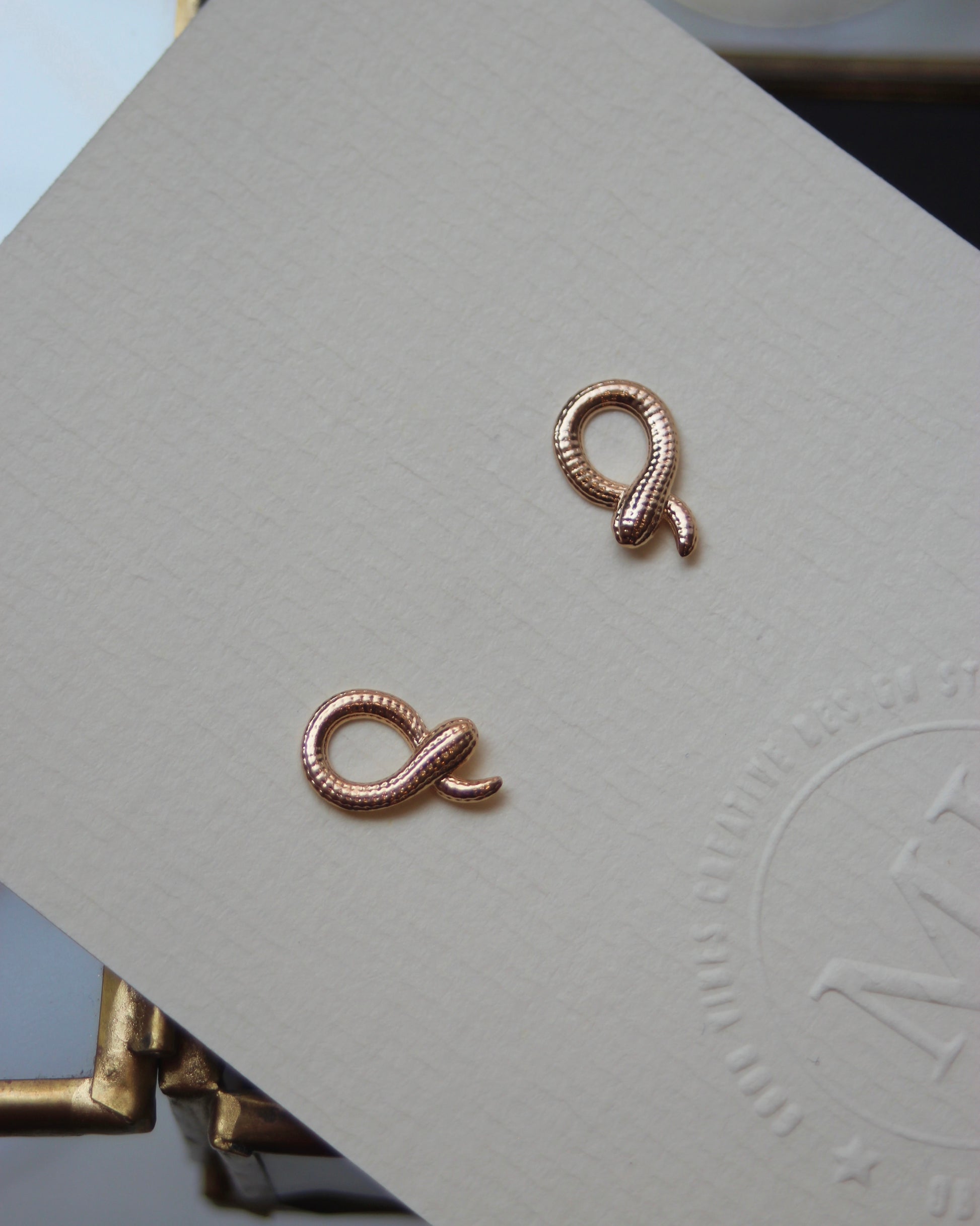 Petites puces serpent