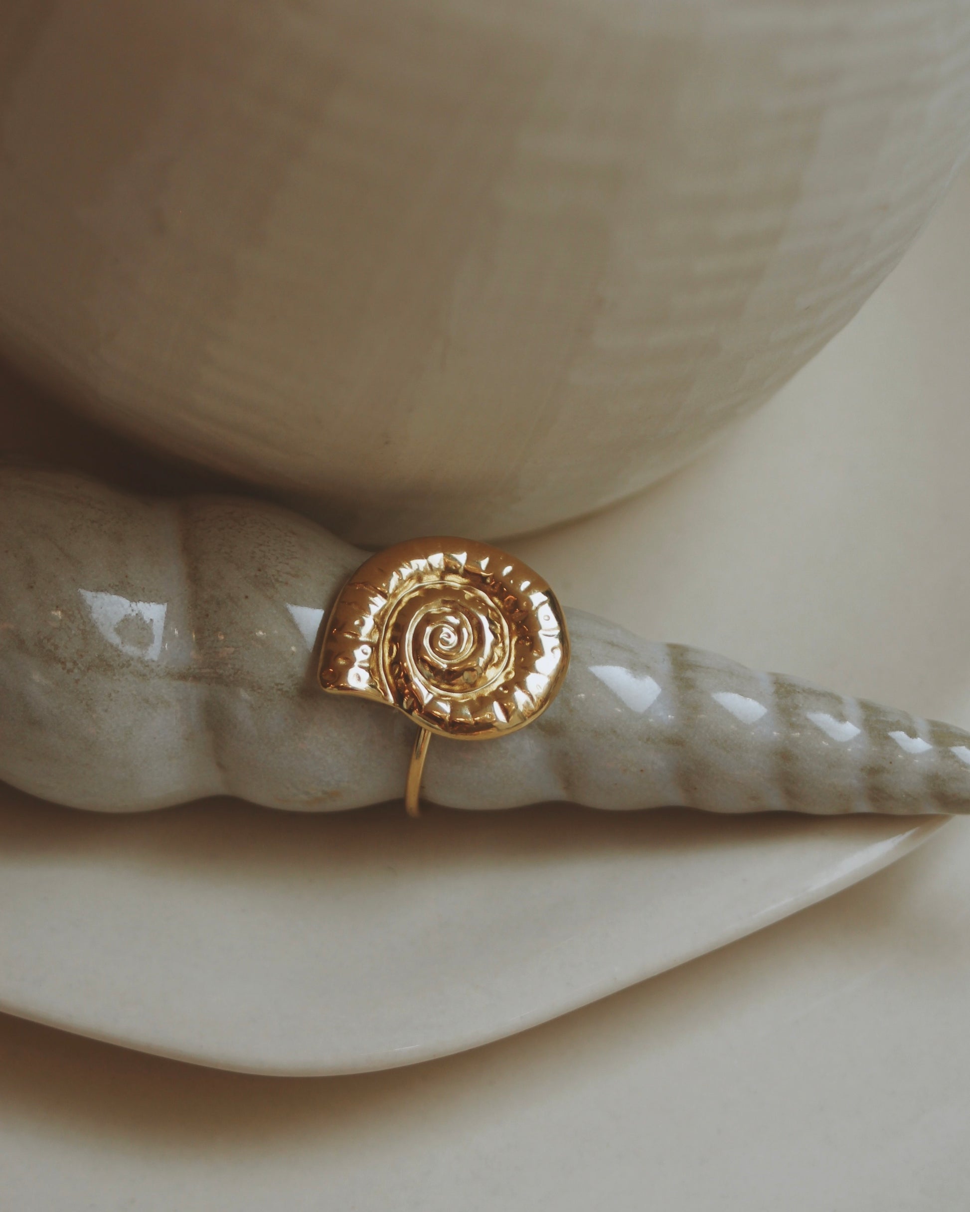 Bague coquillage