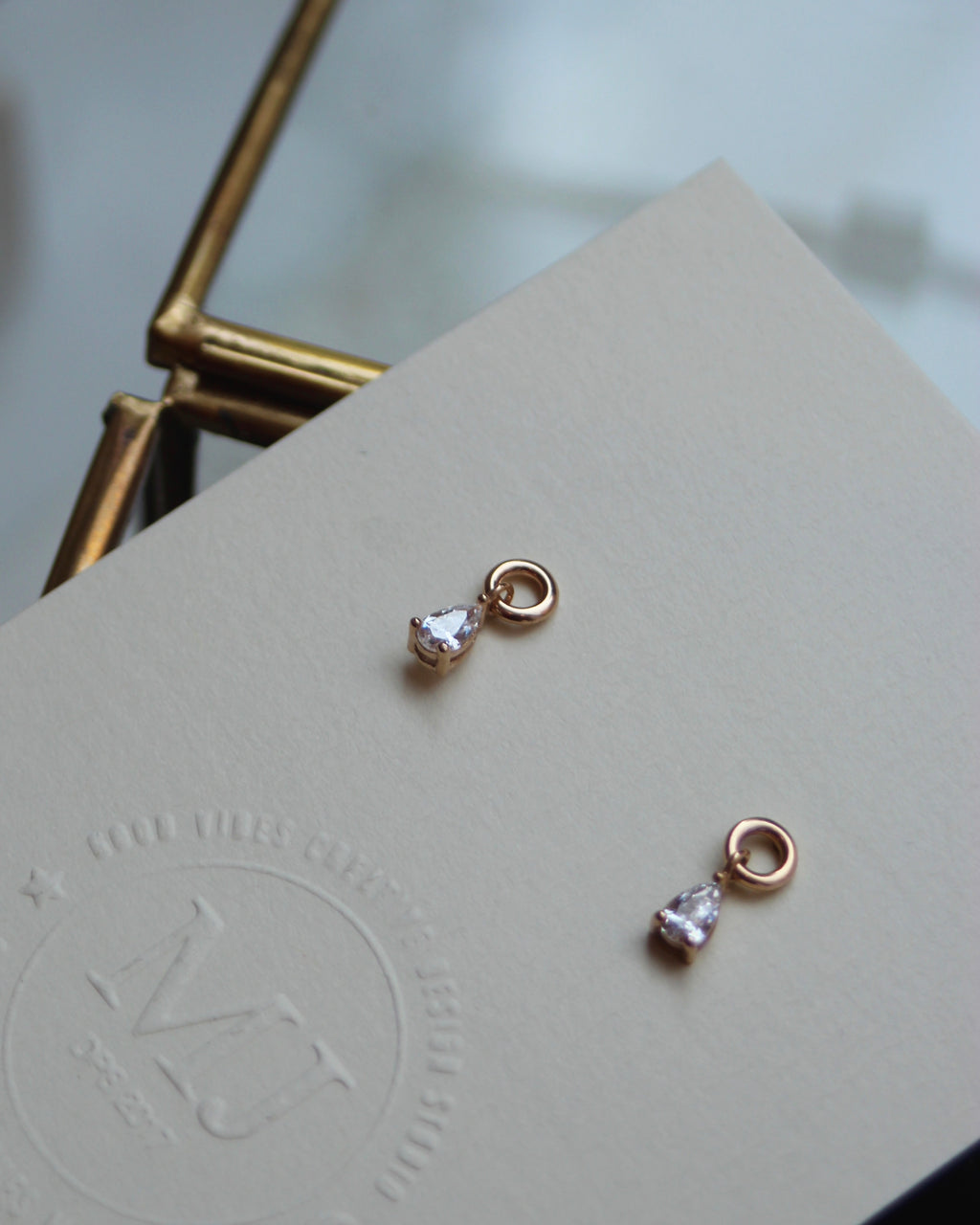 Petites puces brillant